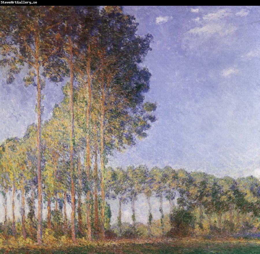 Claude Monet Poplars on the Banks of the Epte